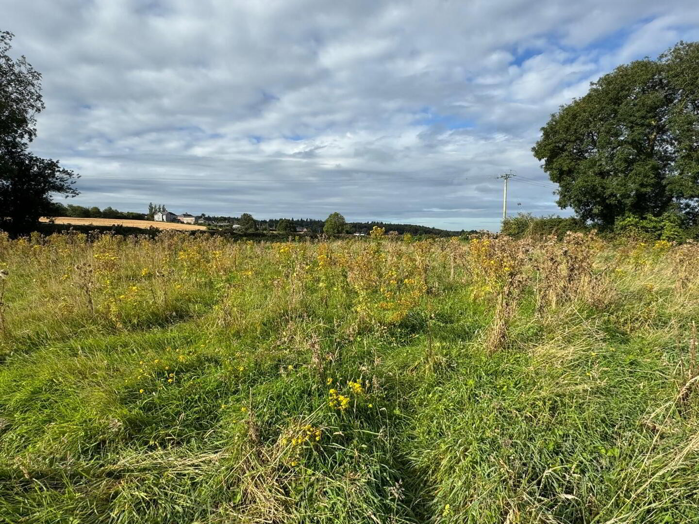 Site To Rear, 20 Station Road