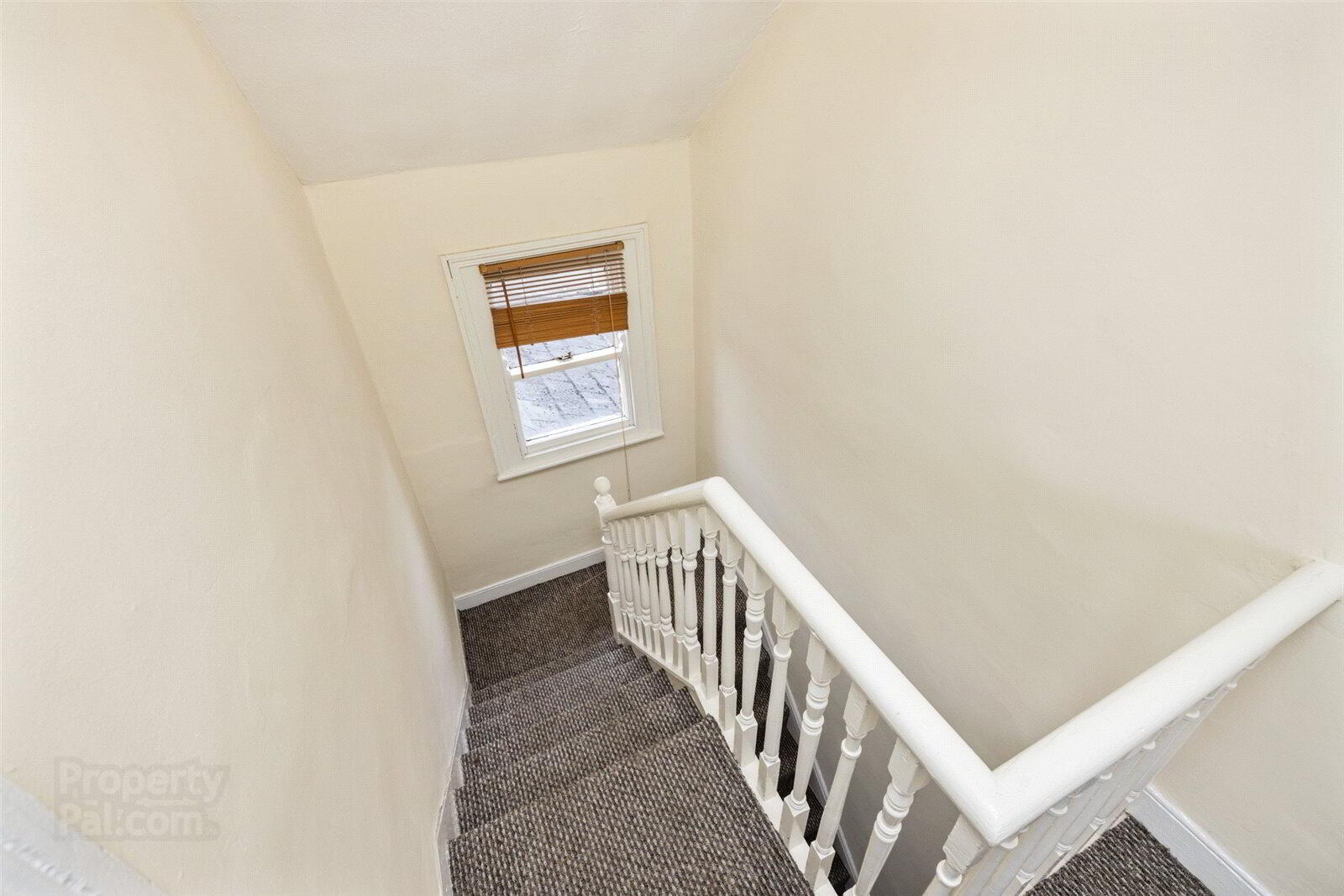 54 Lichfield Avenue 15 of 20