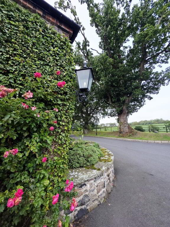 The Courtyard, 62a Drumnabreeze Road 9 of 10
