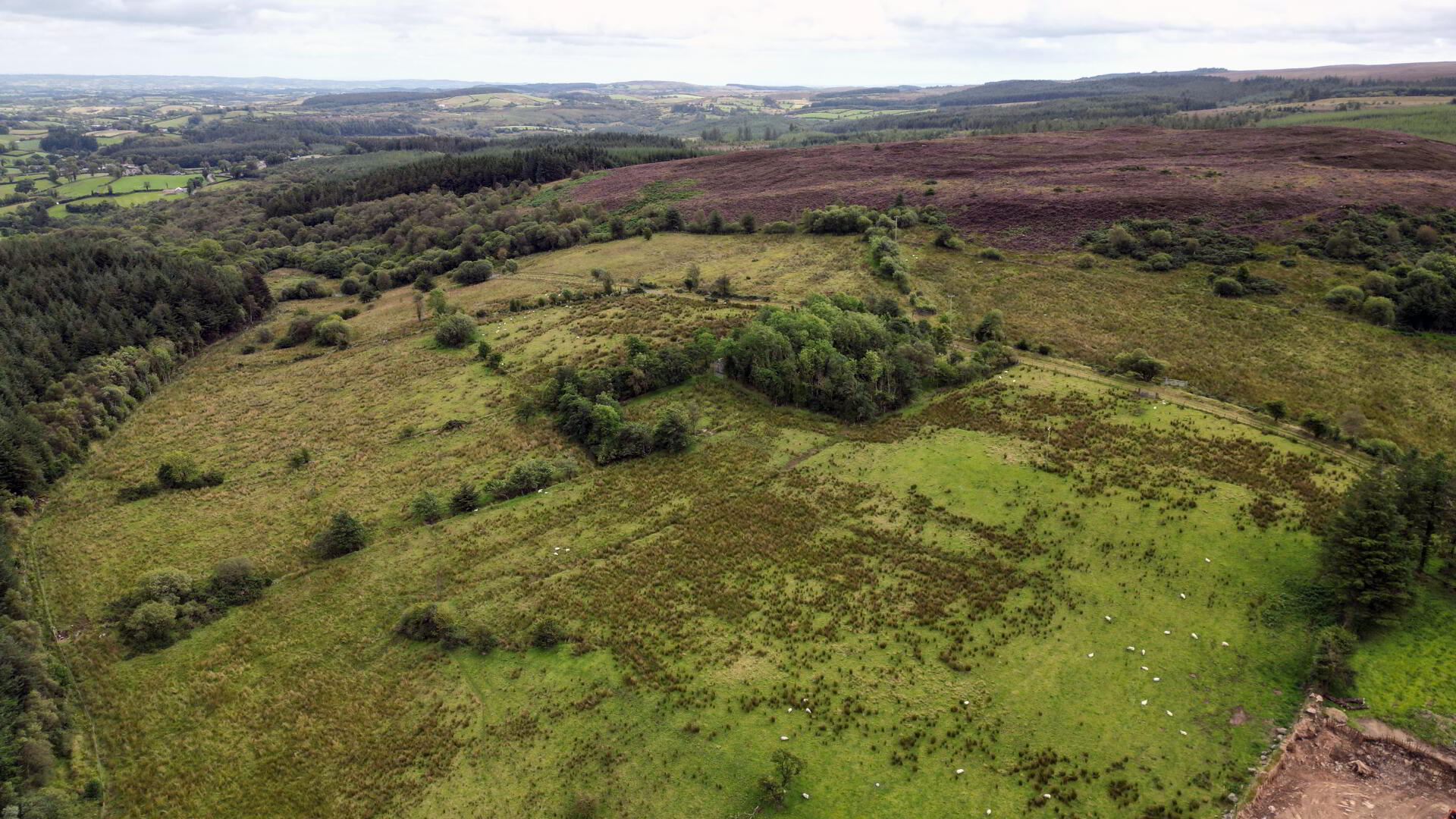 Lands At Golan, Slatmore Road