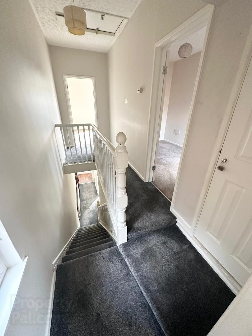 26 Albert Road 6 of 11
