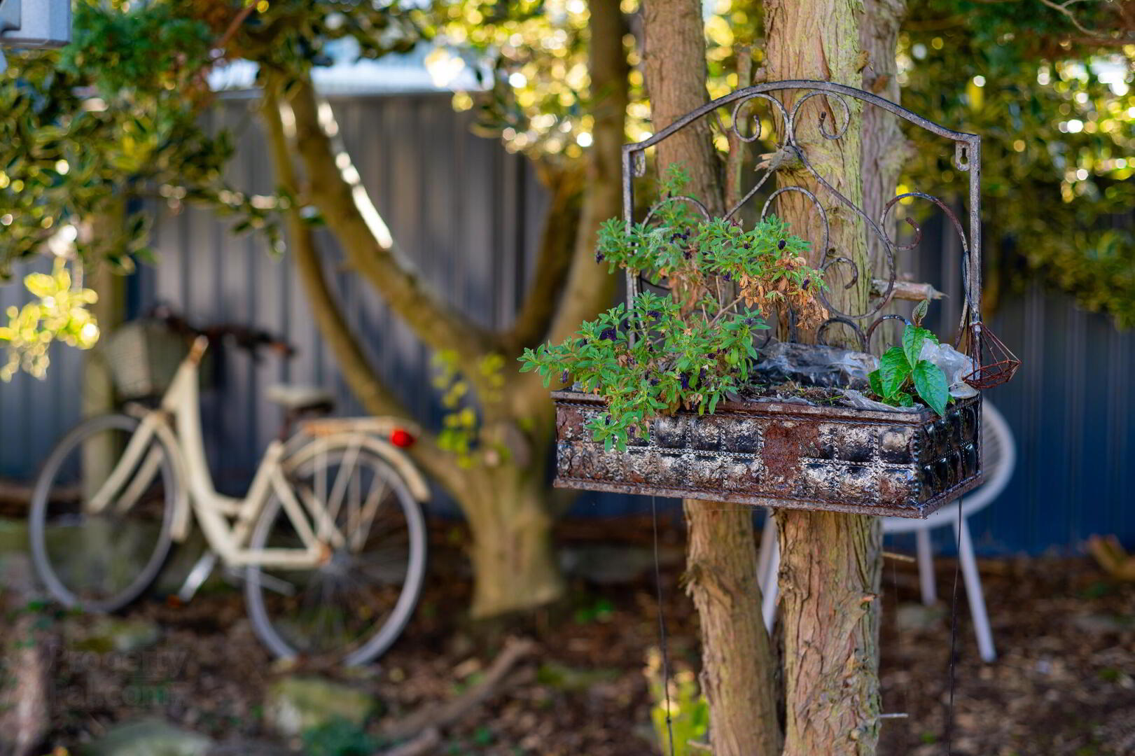 35 Belgravia Park 7 of 70