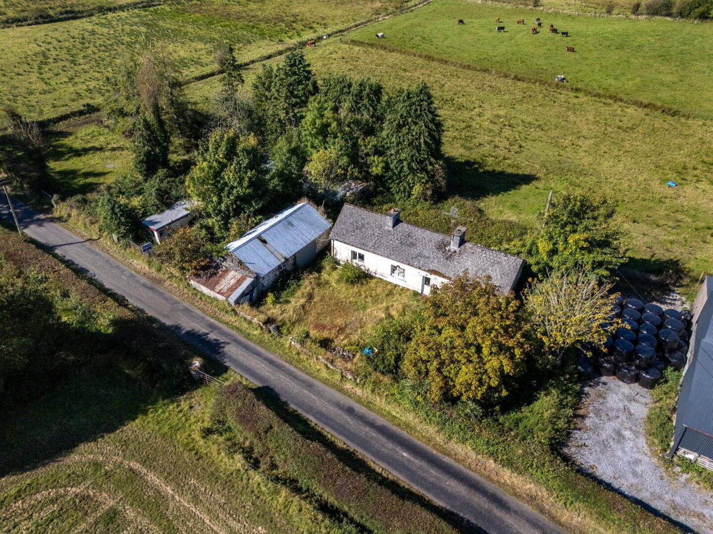 Corbally Folio Rn16440f 13 of 20