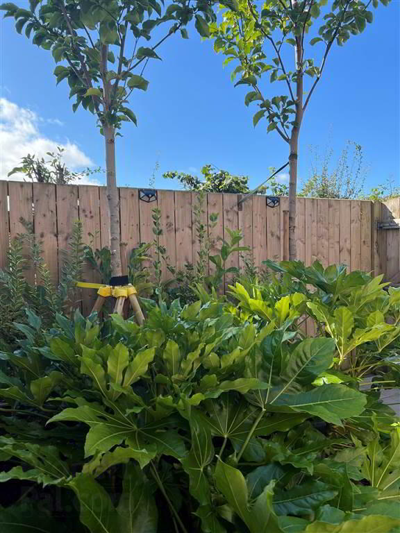 44 Strathearn Lane 42 of 43
