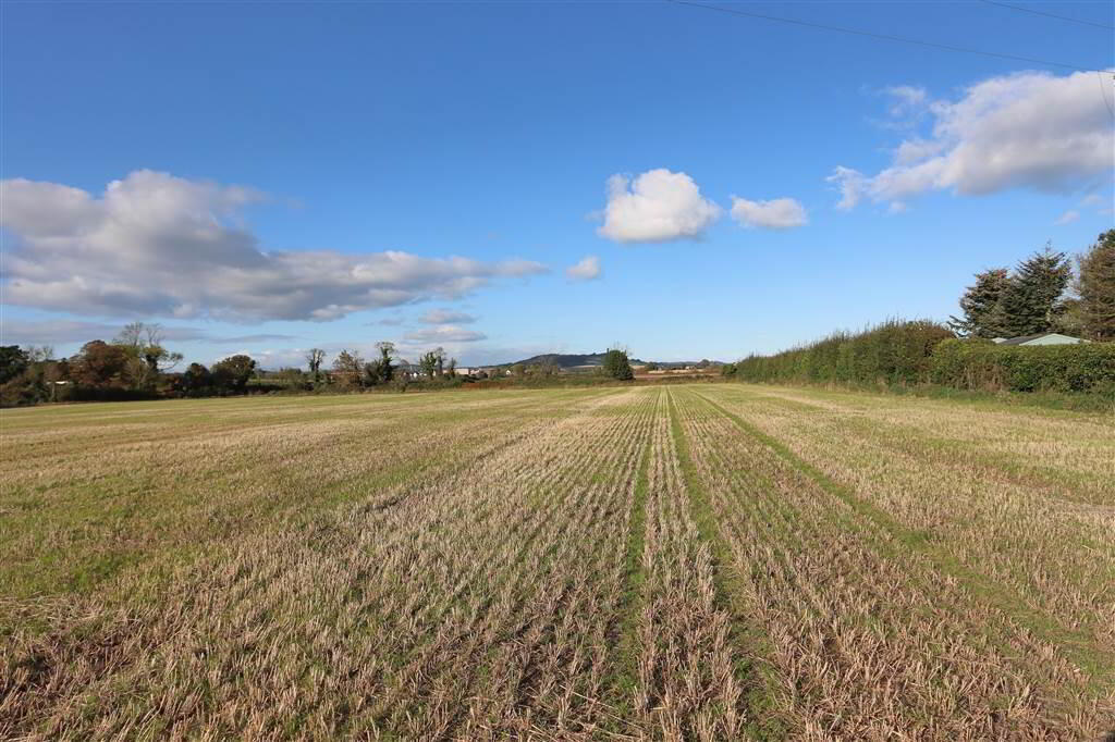 Lands Opposite, 21 Ballydrain Road