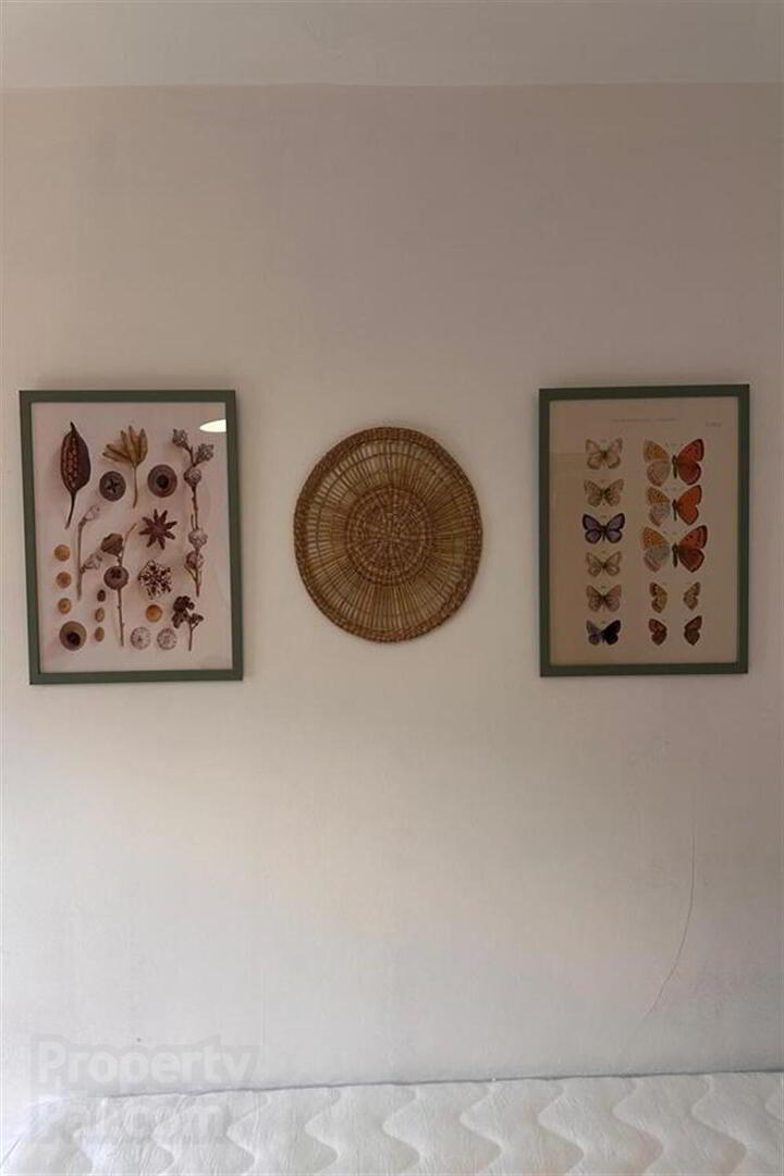 Room 2, 185 Dunluce Avenue 3 of 9