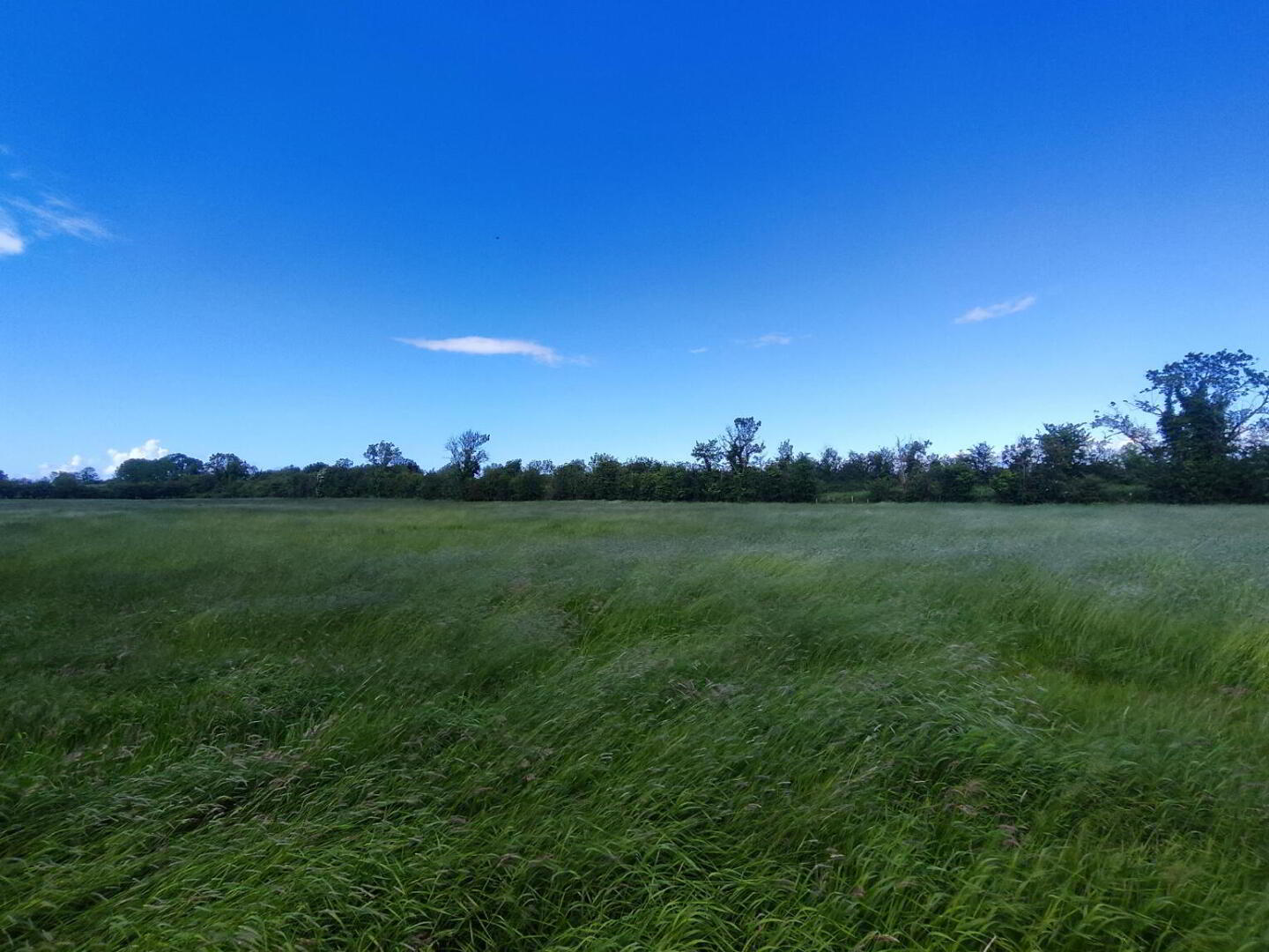 Land, And Shed At Newbridge Road 13 of 13