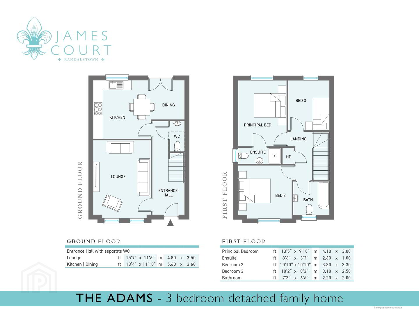The Adams 2 of 3