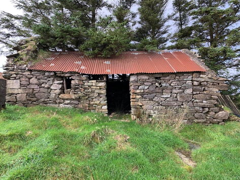 Farmhouse At Ballybawn