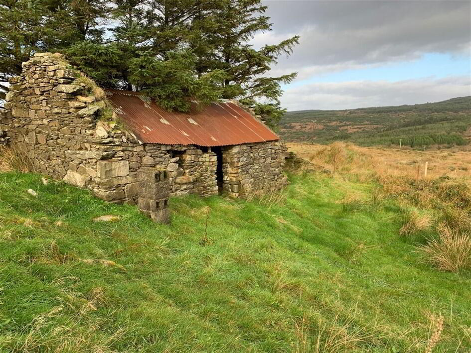 Farmhouse At Ballybawn