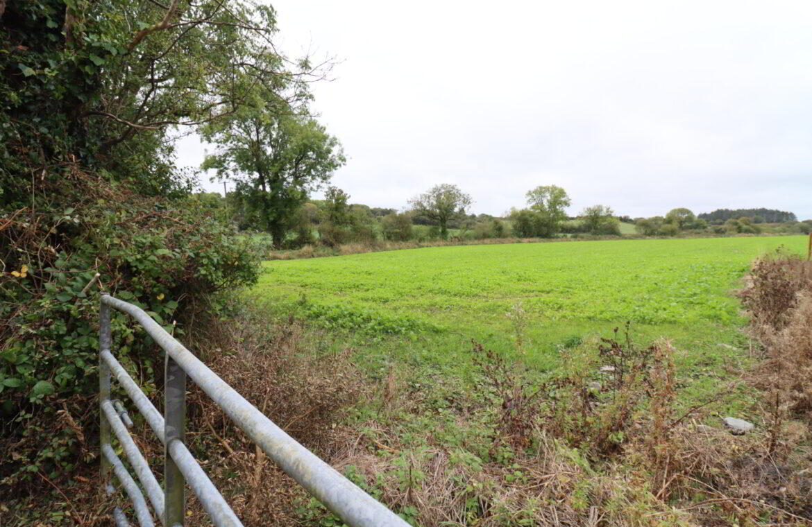 1.8 Acres, Ballyfeard