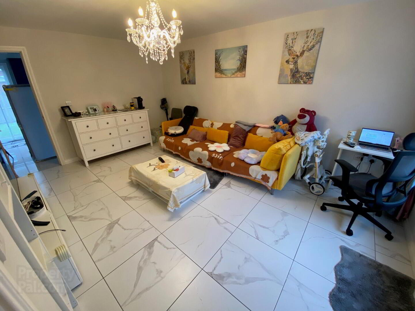 68 Kitchener Street 3 of 16