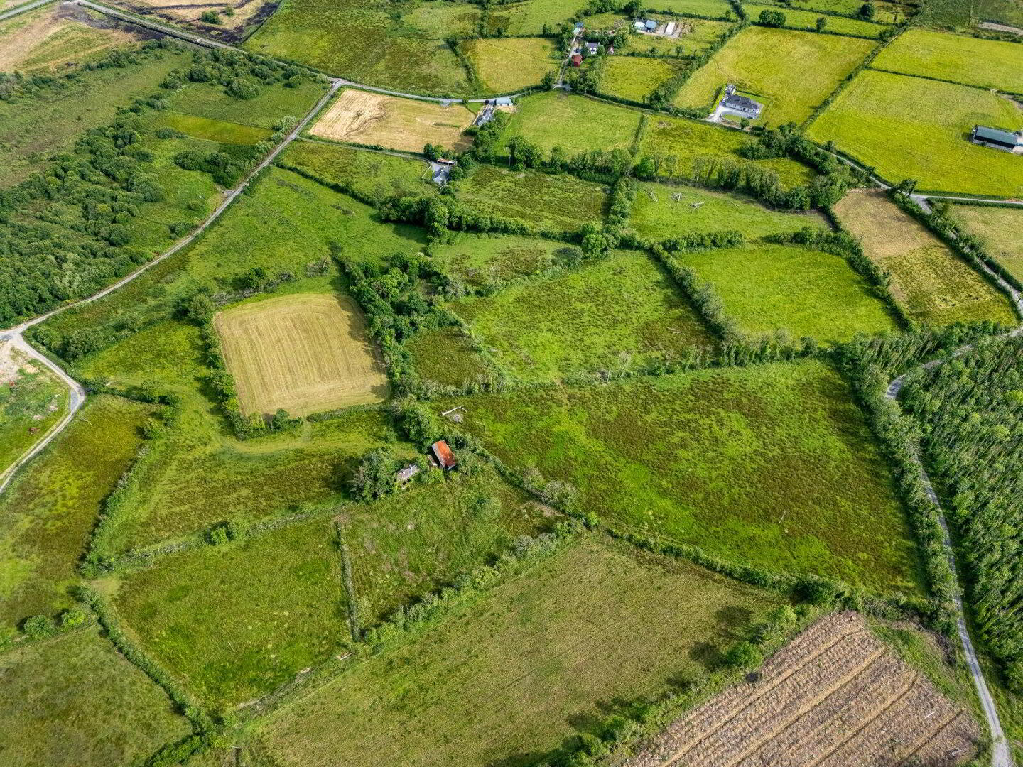 Clooneragh 4 of 6