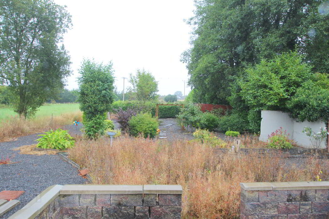 Kilcoursey 8 of 9