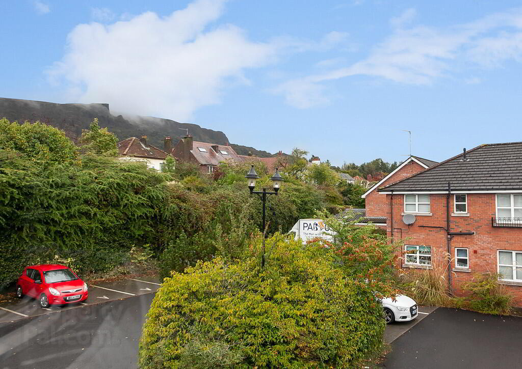 16 Ben Eden Park 12 of 14