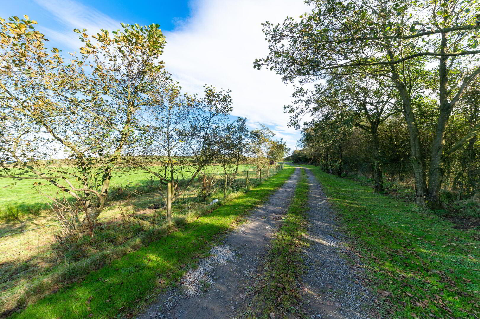 The Braidlands, 15a Moat Road 50 of 61