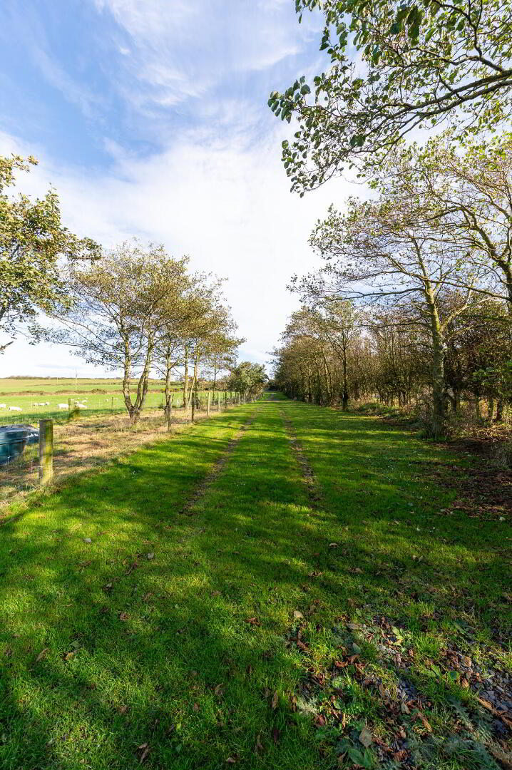 The Braidlands, 15a Moat Road 52 of 61