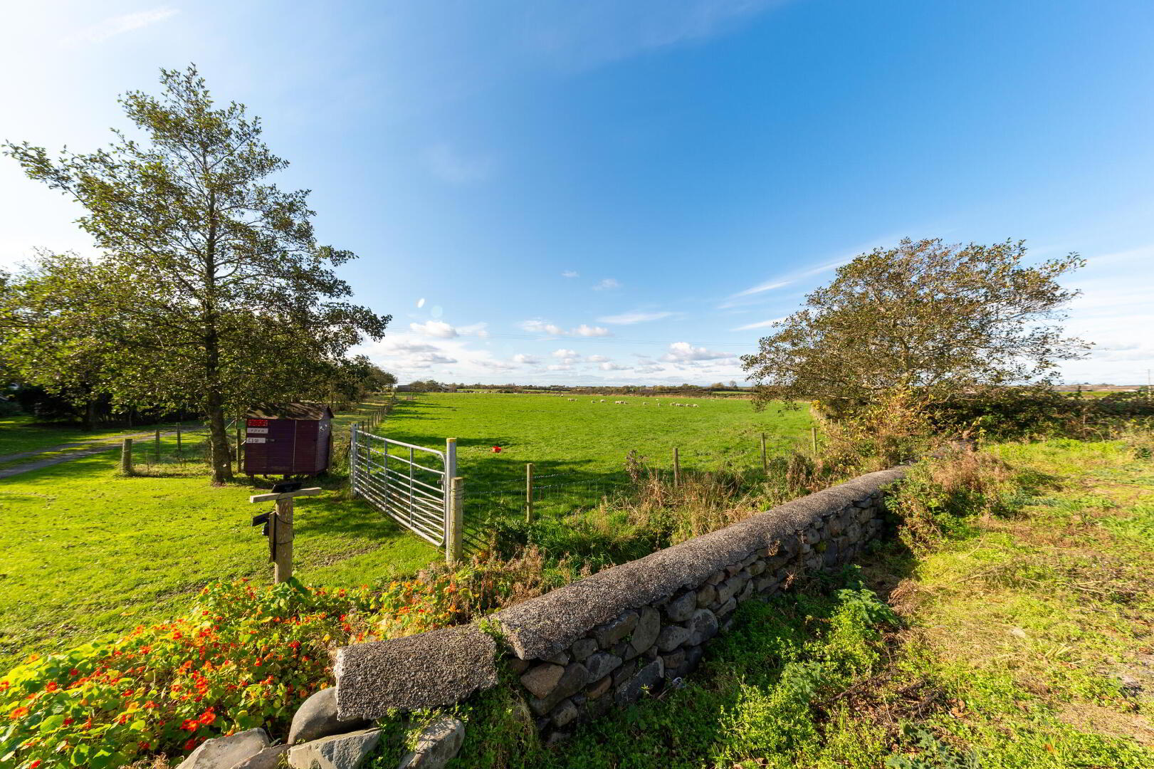 The Braidlands, 15a Moat Road 56 of 61