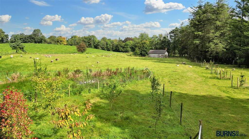 'Millbrook', 31 Ardreagh Road 48 of 51