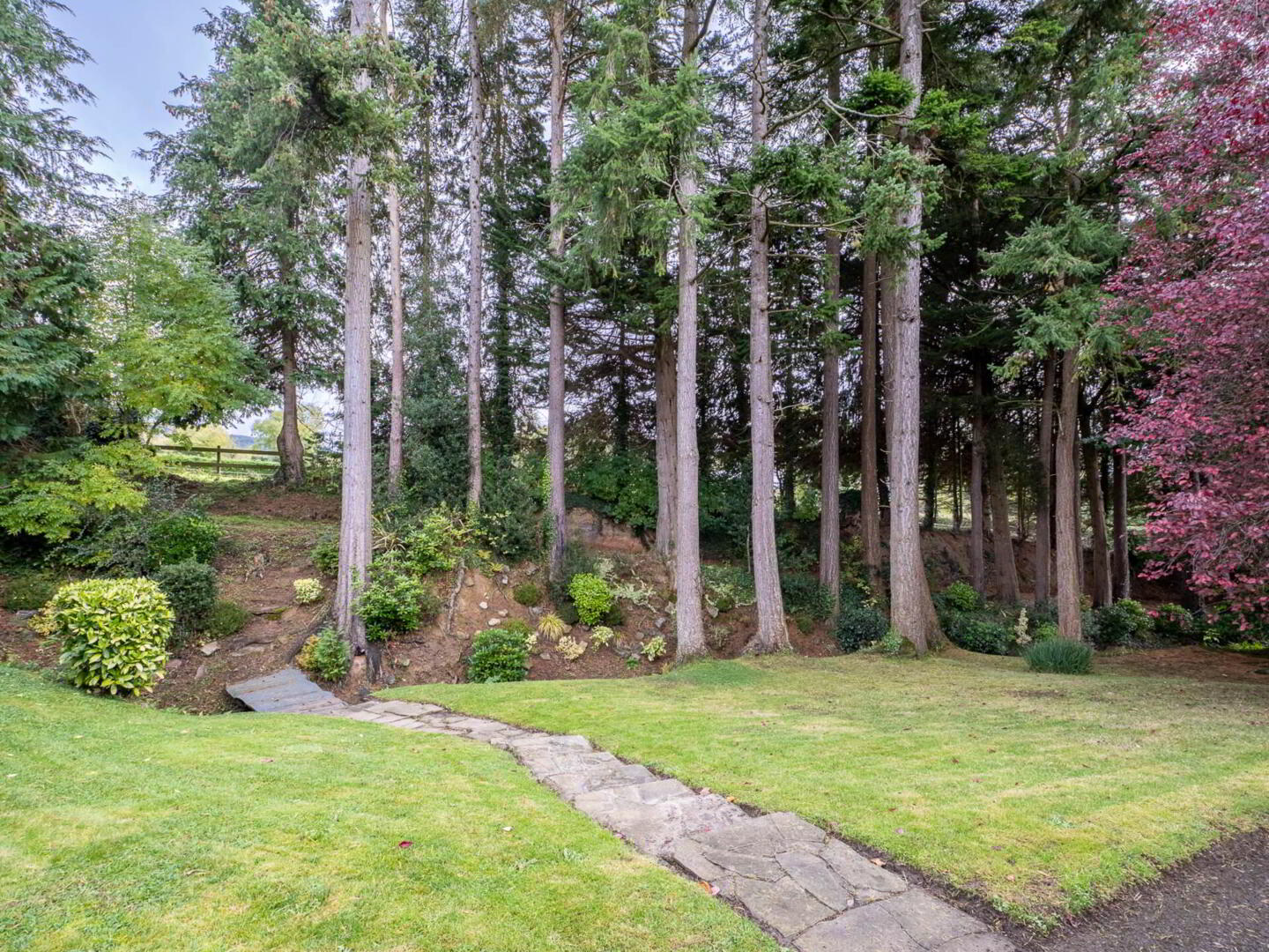 Glen House, Gortavoher 40 of 47