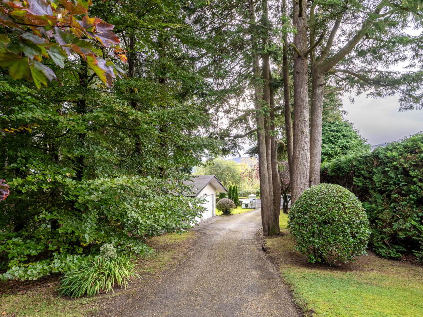 Glen House, Gortavoher 46 of 47