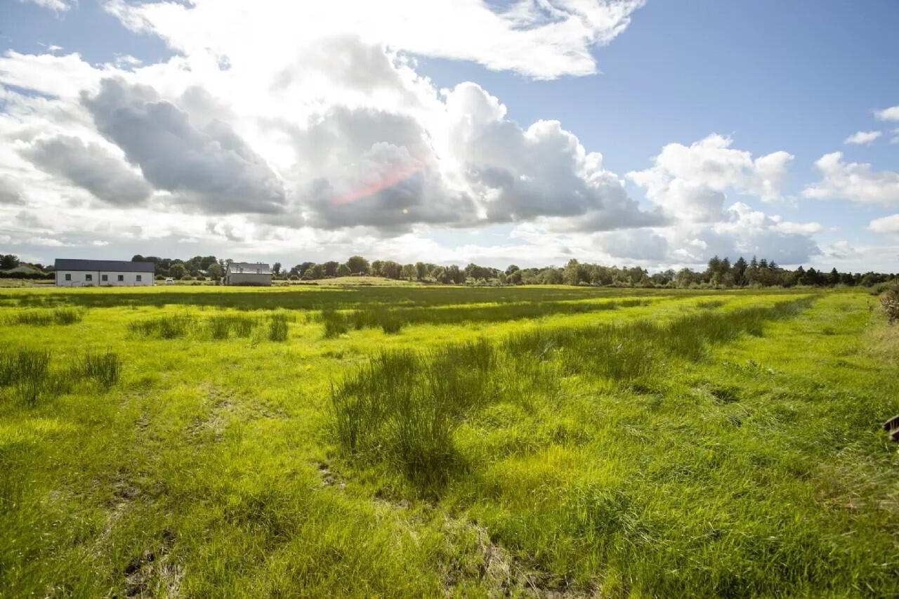 Site B Castledown