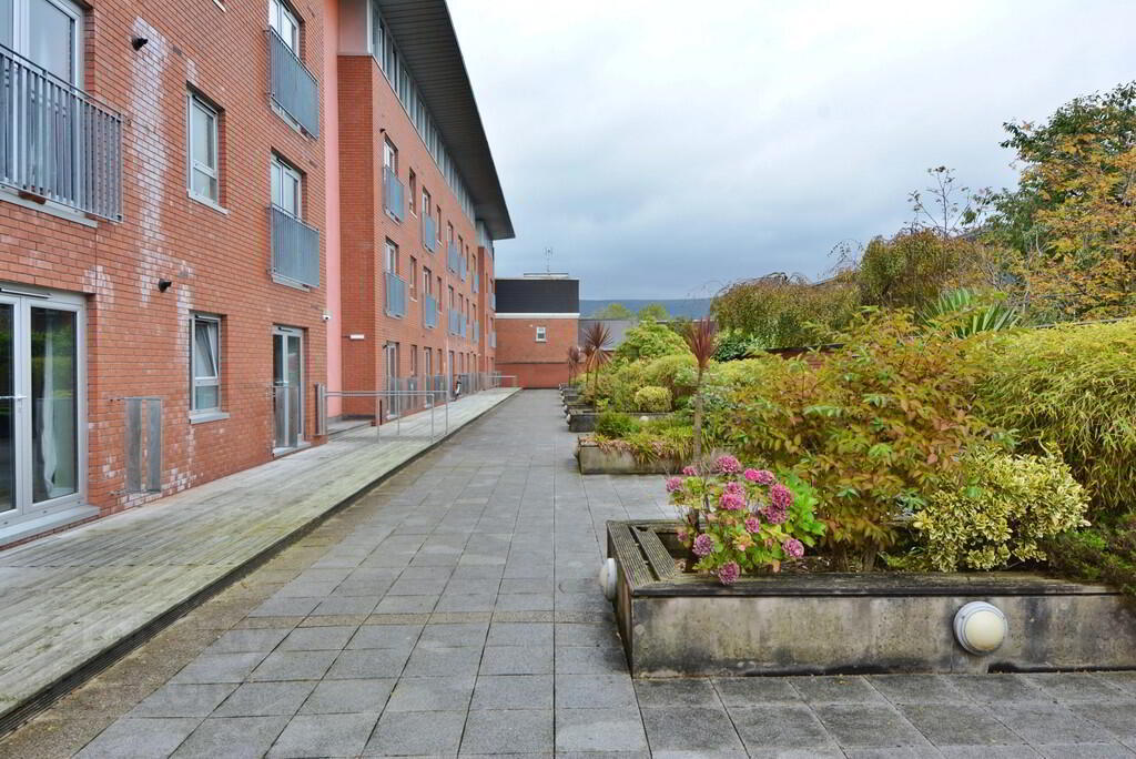 25 South Studios, 85 Tates Avenue, Belfast 15 of 15