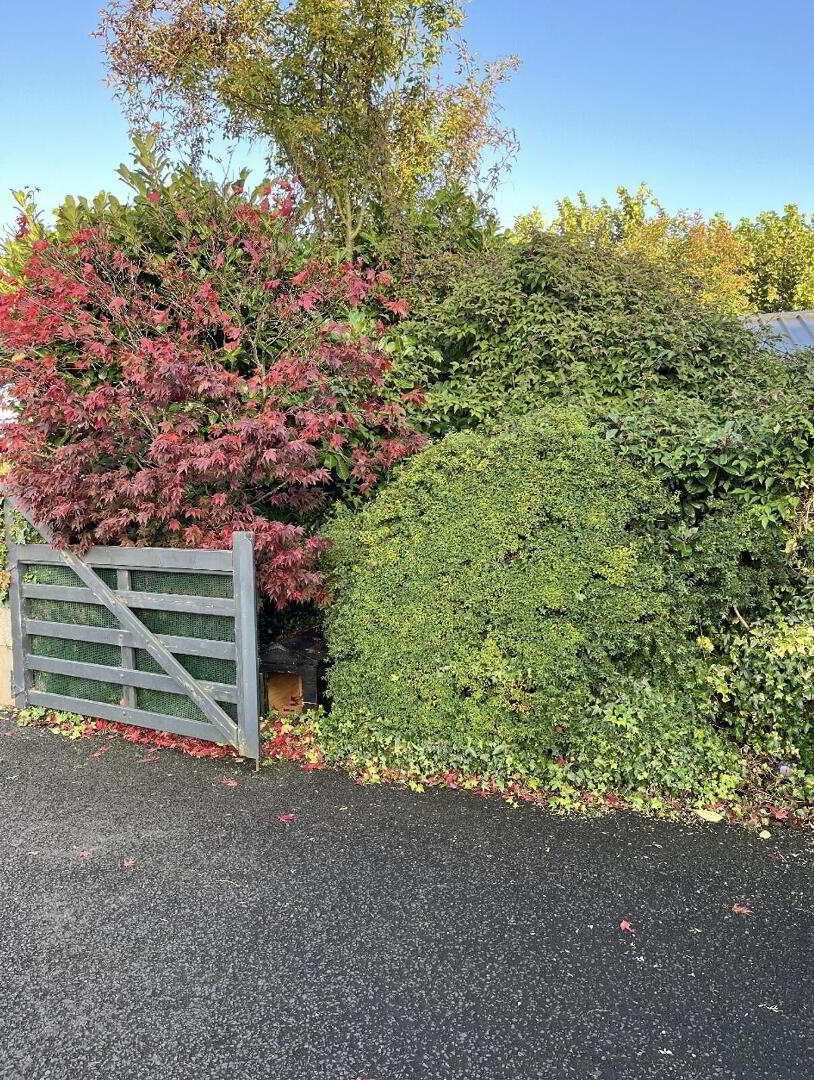 5 Wallace Crescent 31 of 38