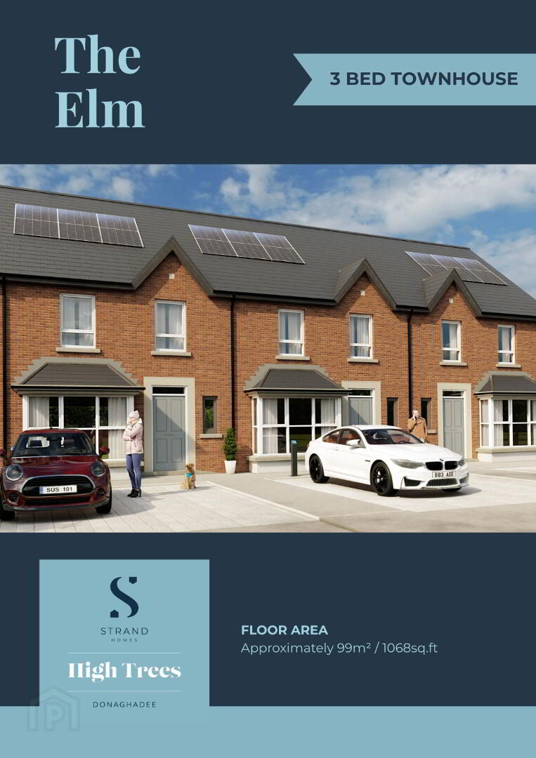 Phase 5 - Elm 2 of 33