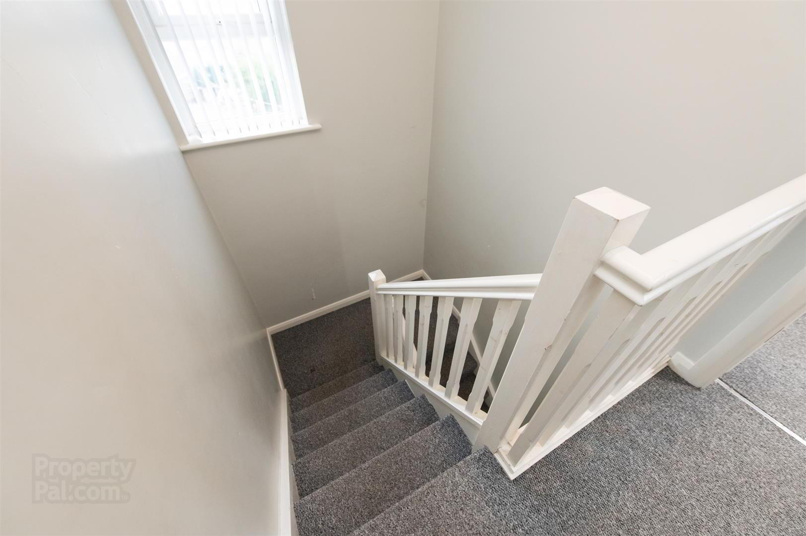 1b Strangford Road 11 of 21