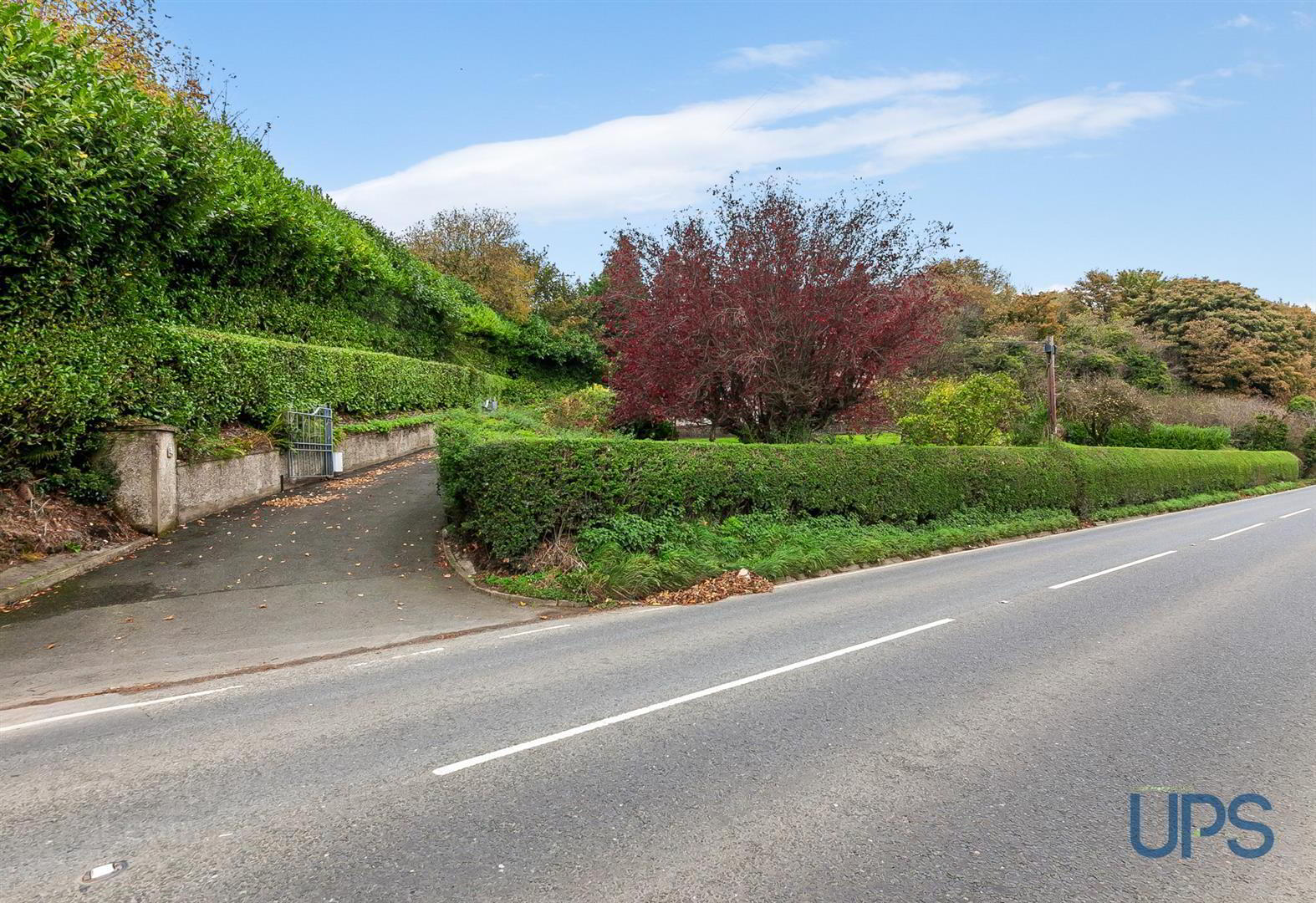 35 Colinglen Road 43 of 44