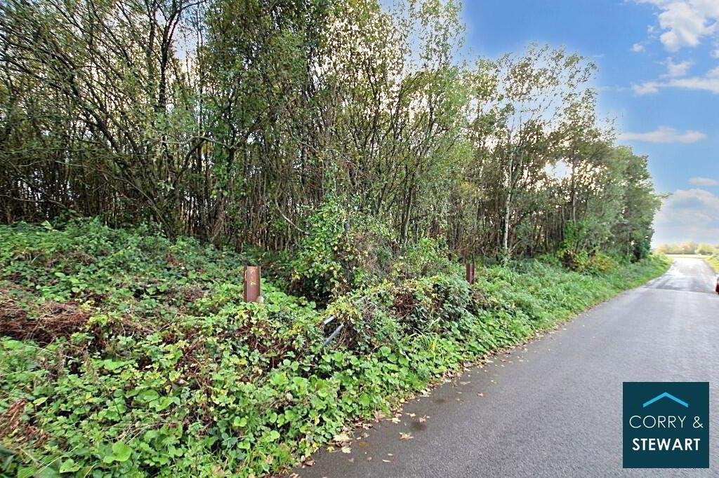 Potential Site At Slieveard Road, Slieveard Road