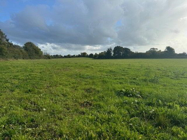 33 Acres, Cloneymeath