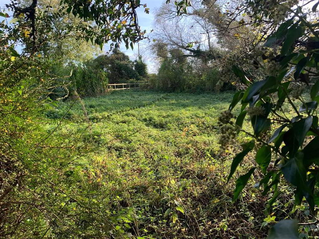 A FOR SALE AS WHOLE OR IN LOTS, Detached House Needi, 6 Glenavy Road 5 of 10