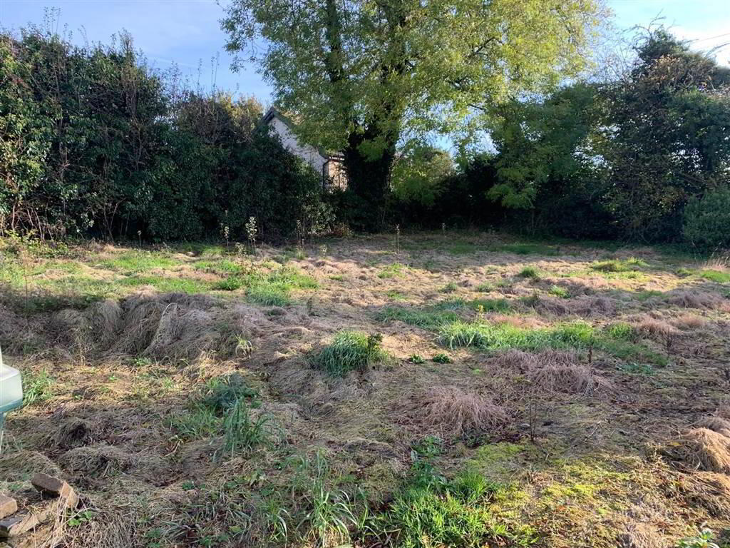 A FOR SALE AS WHOLE OR IN LOTS, Detached House Needi, 6 Glenavy Road 4 of 18