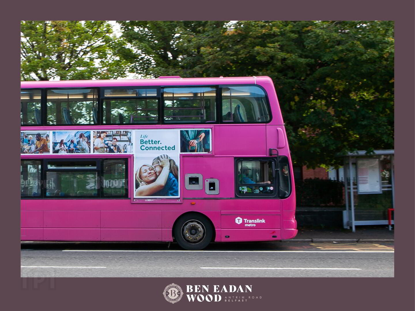 The Evelyn 7 of 30