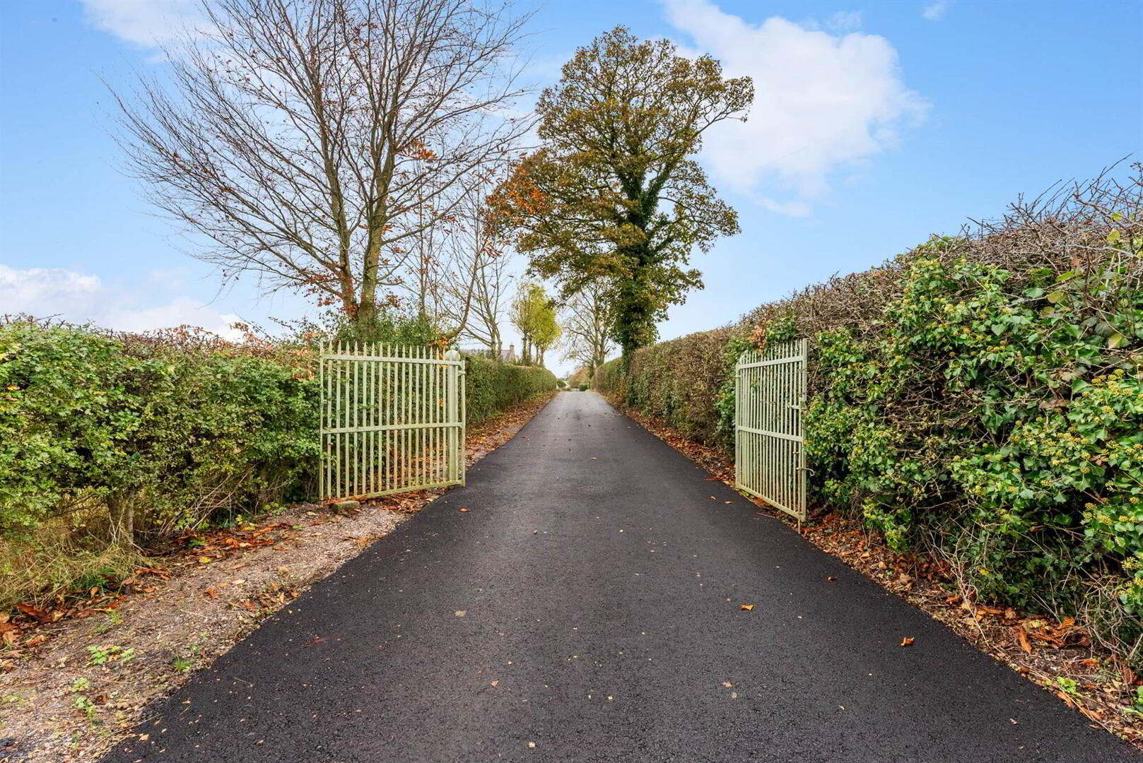 Ballycurran House, 11 Mazeview Road 41 of 50