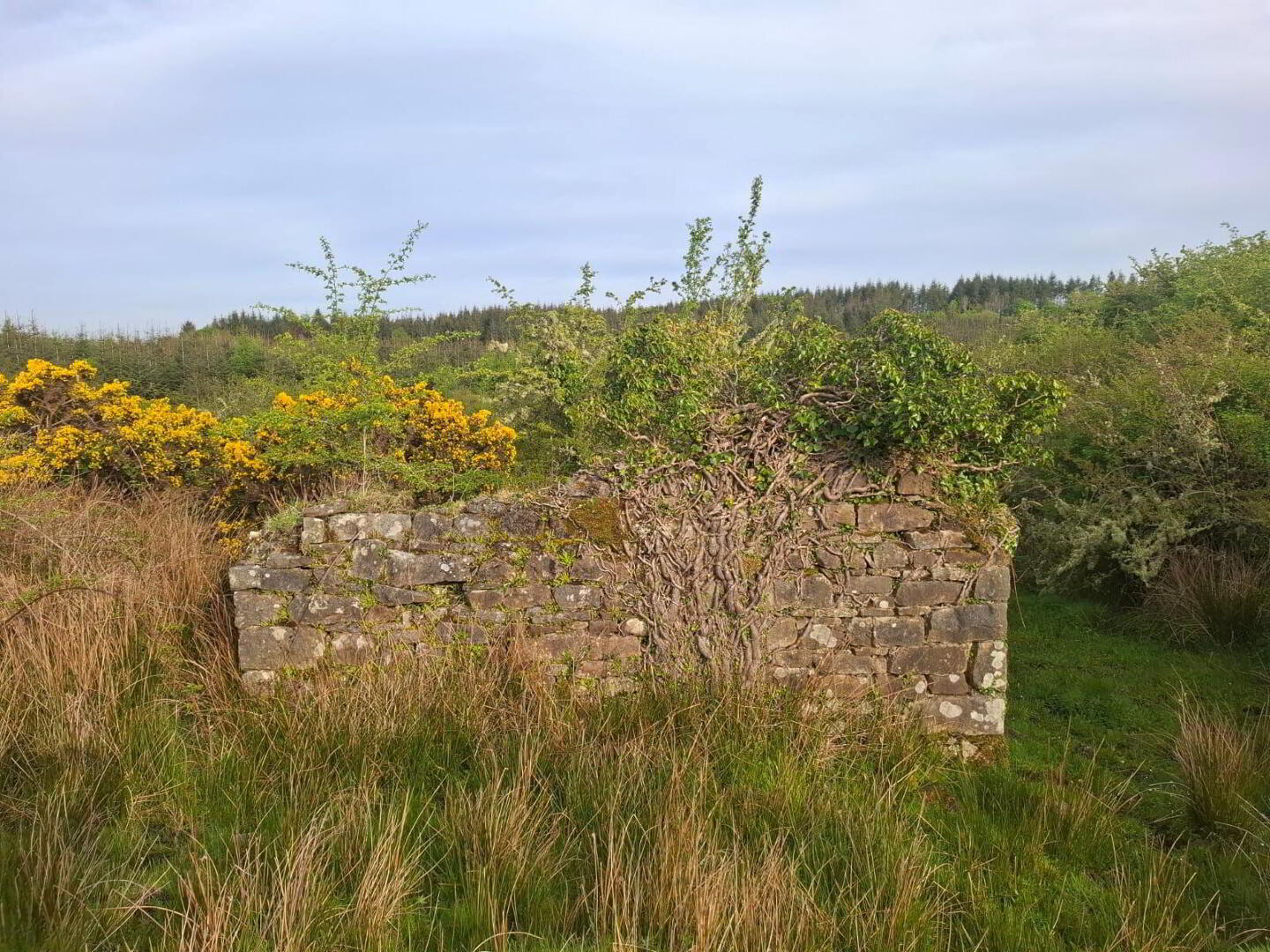 property description image