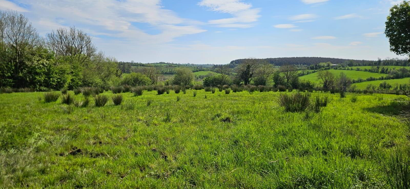 Valuable Circa 33 Acre Farm., Newpark Road