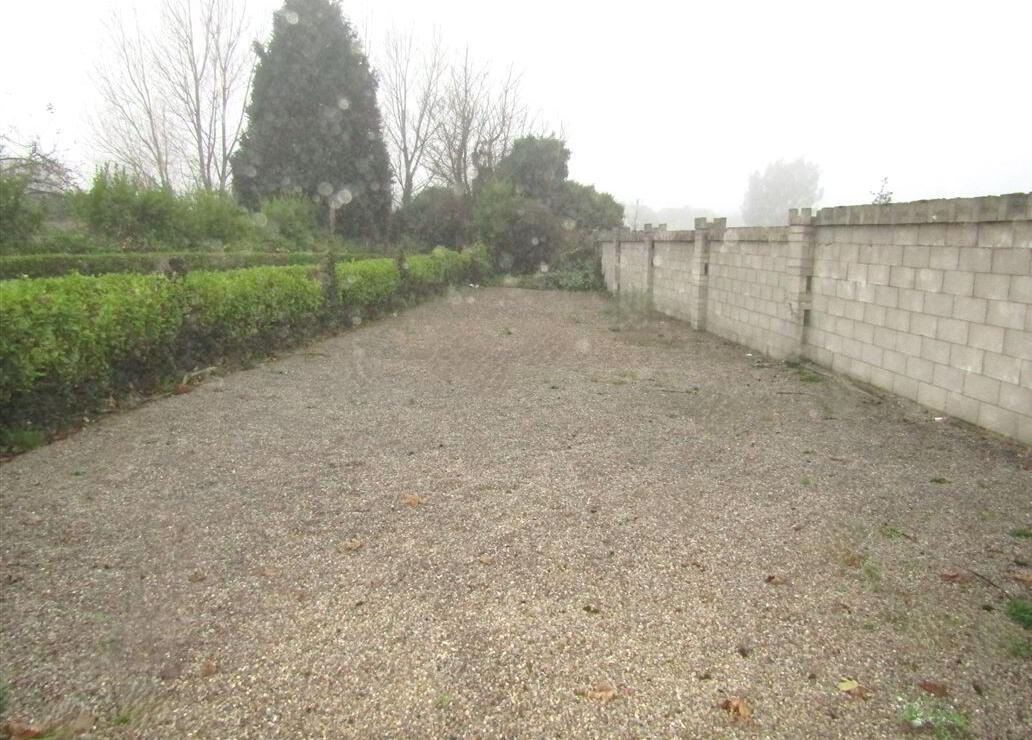 1 Avondale Drive 8 of 8