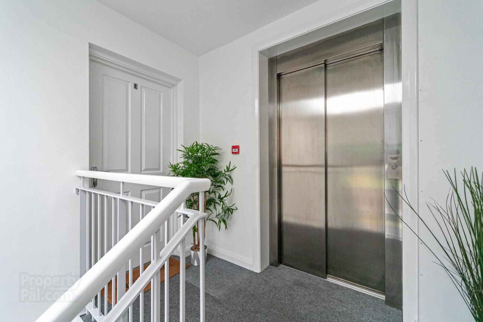 241e Saintfield Road 13 of 14