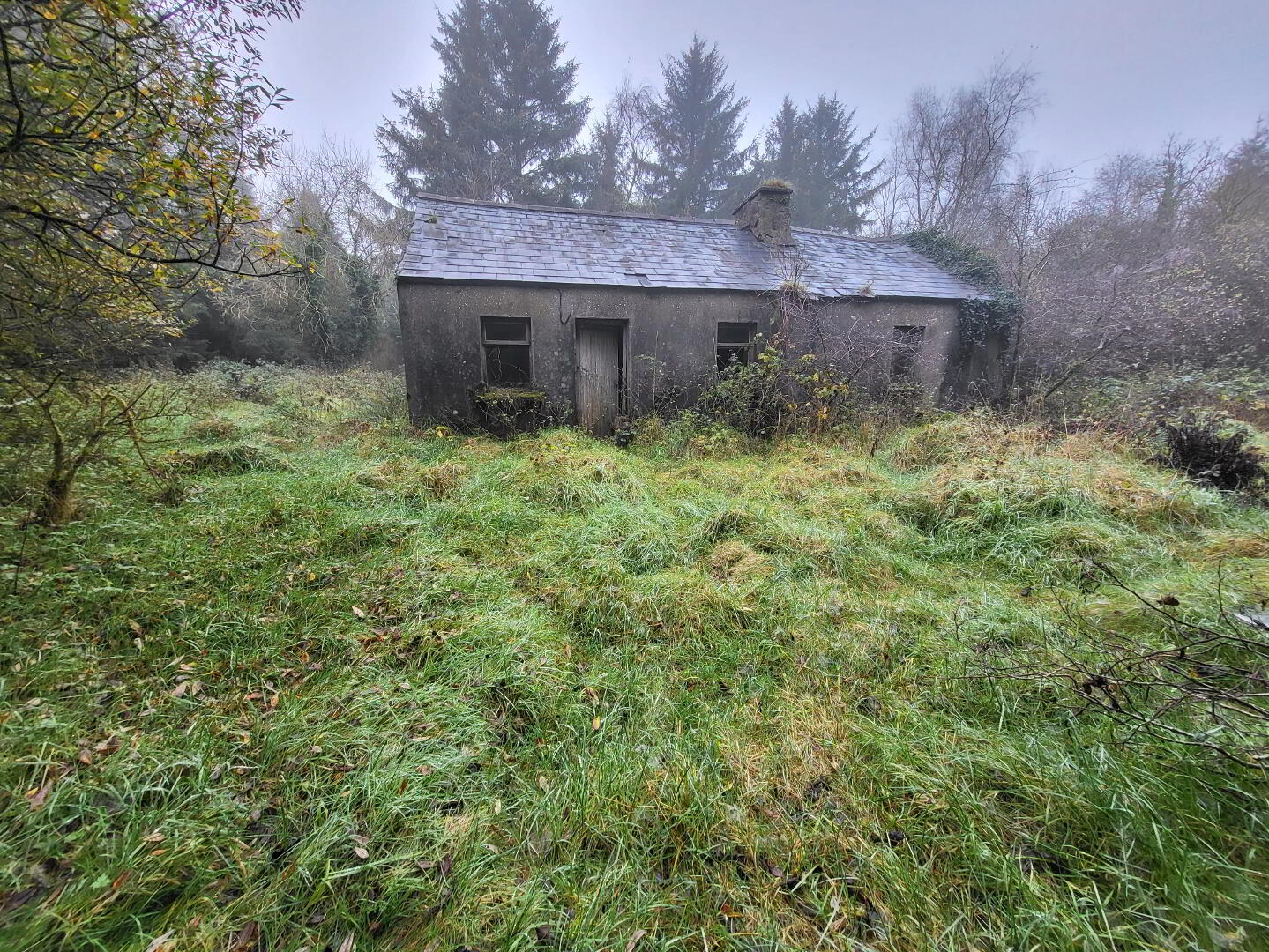 Forestry & Cottage, Cloonarara