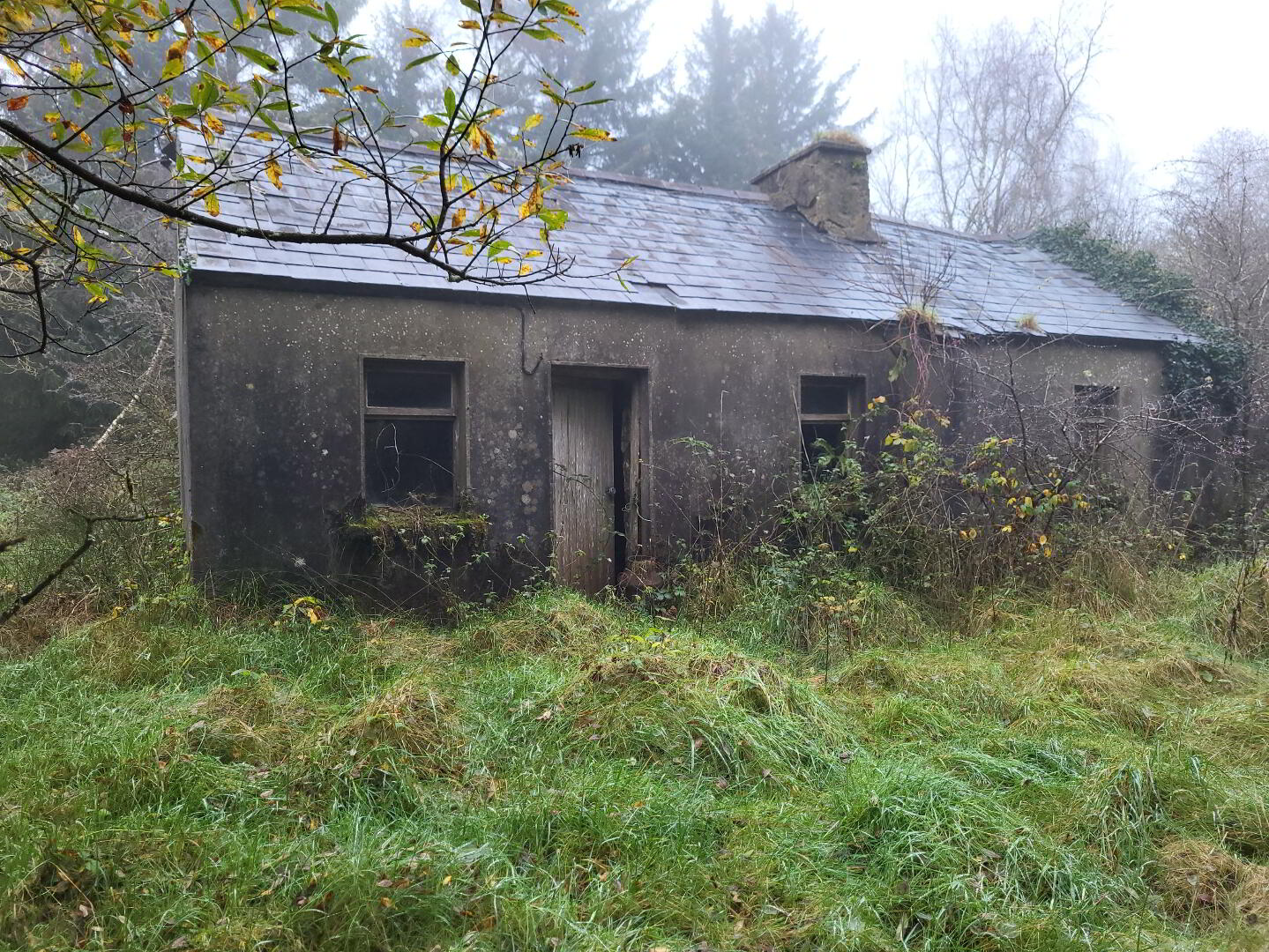 Forestry & Cottage, Cloonarara