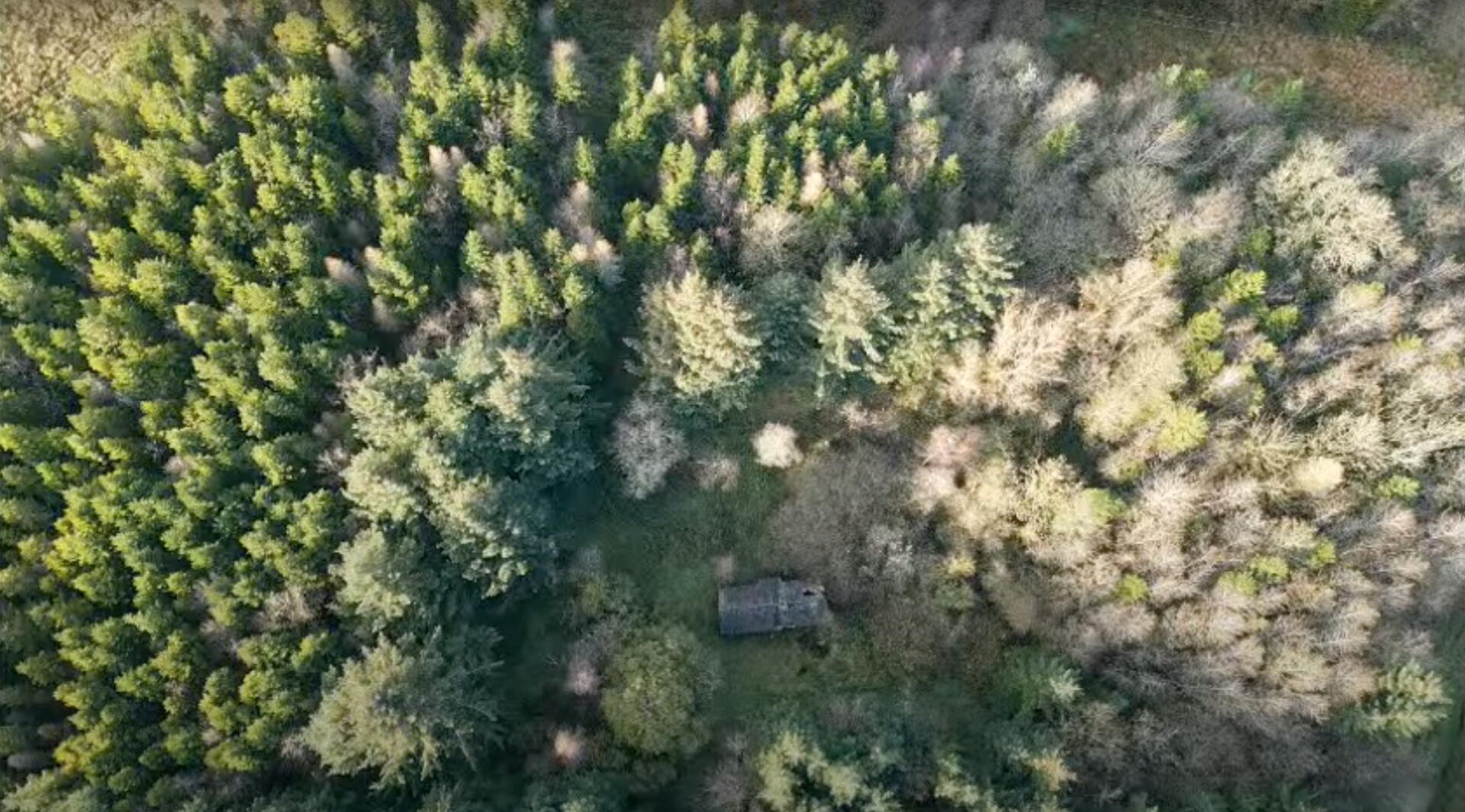 Forestry & Cottage, Cloonarara