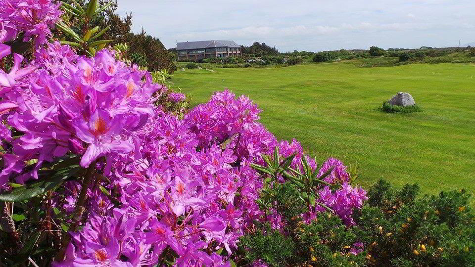 Bearna Golf Club 13 of 18