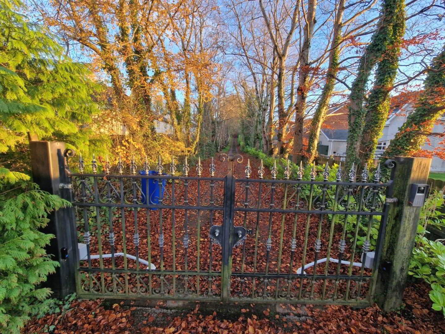 29 Nutfield Road 50 of 54