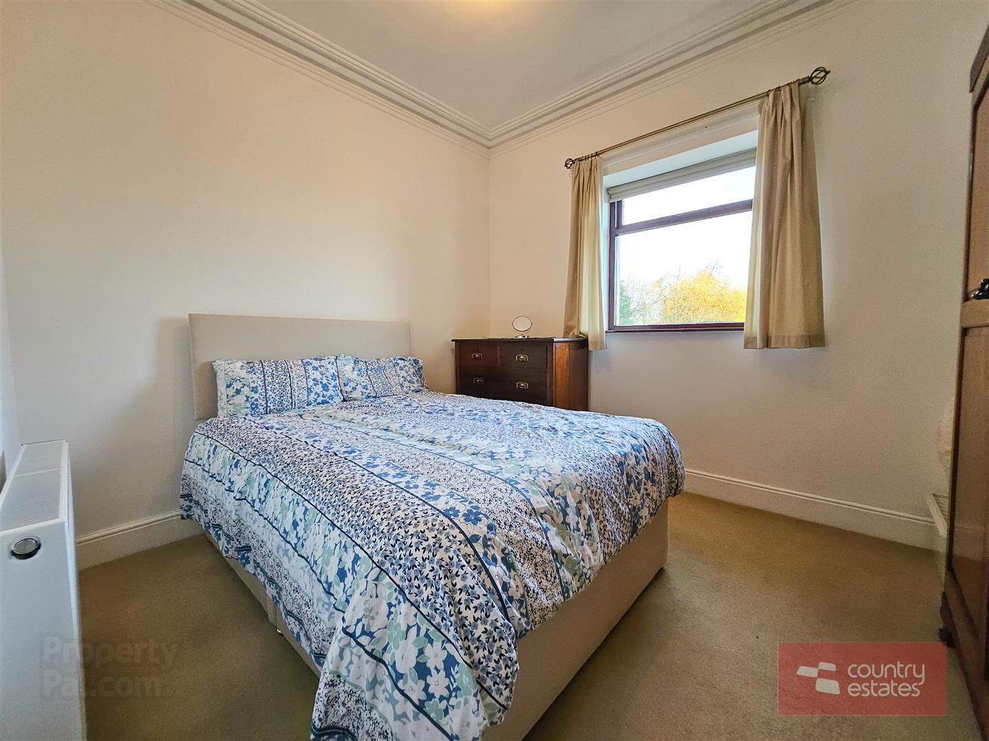 43 Hydepark Road 29 of 58