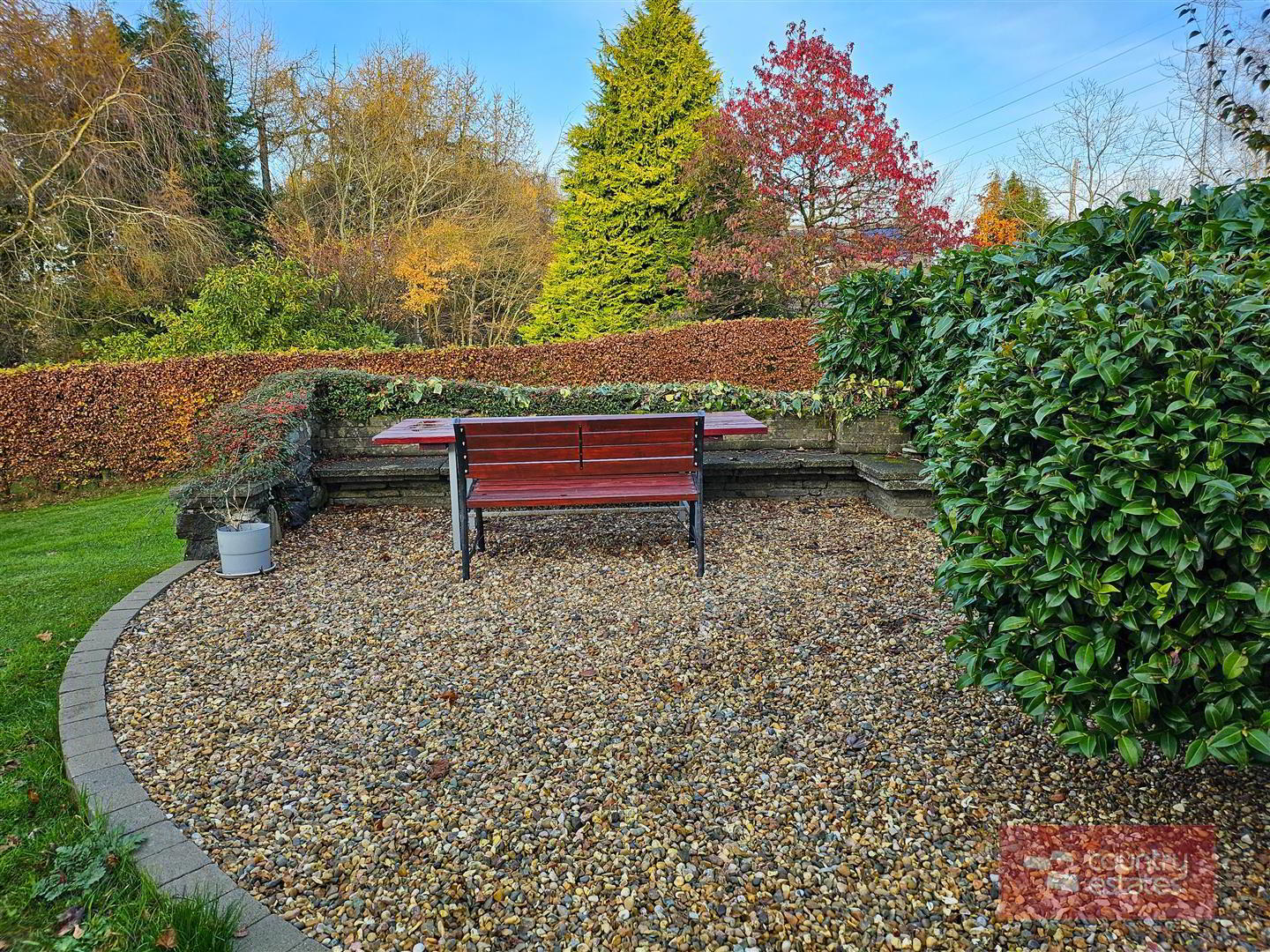 43 Hydepark Road 53 of 58