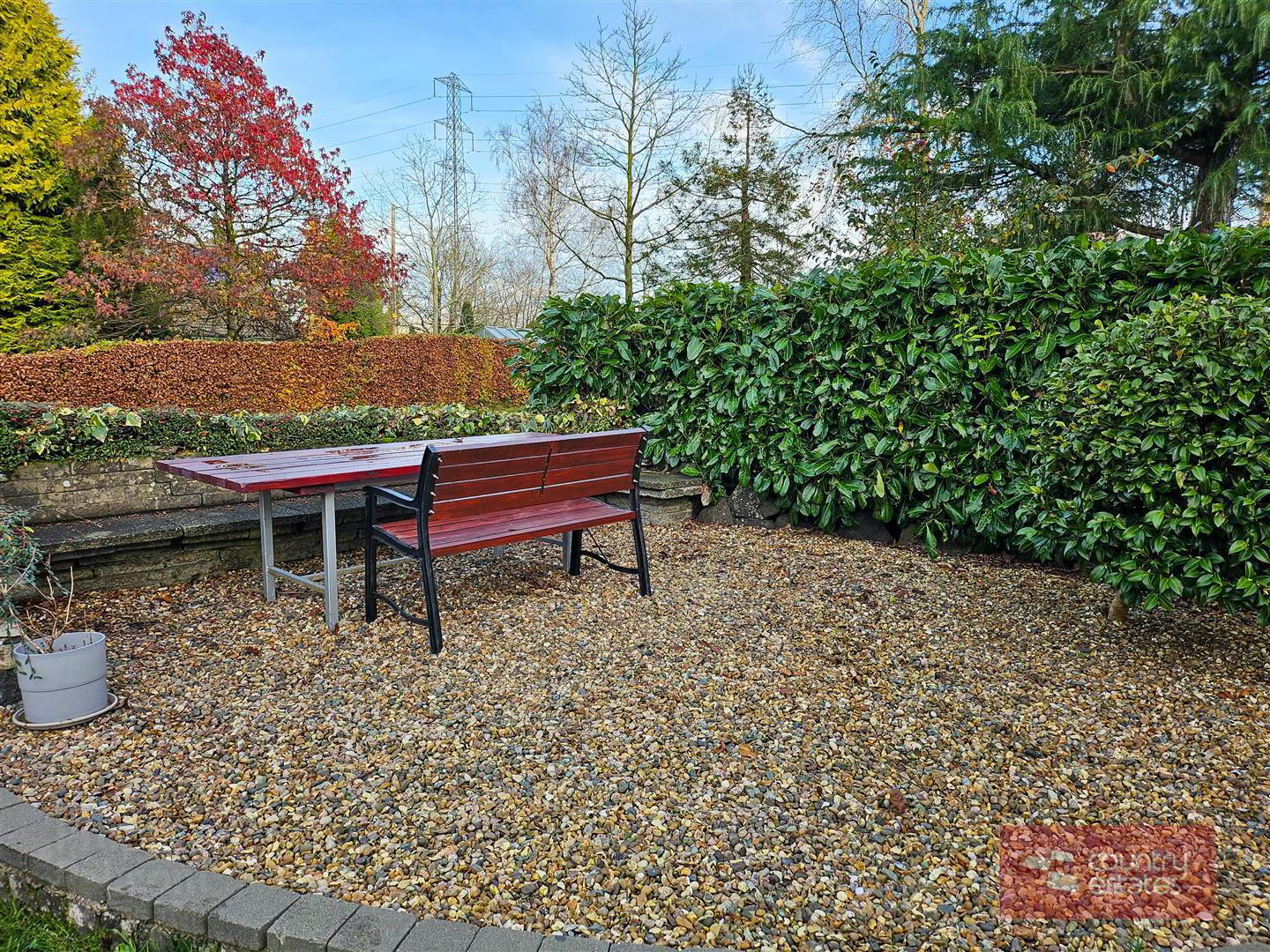 43 Hydepark Road 54 of 58