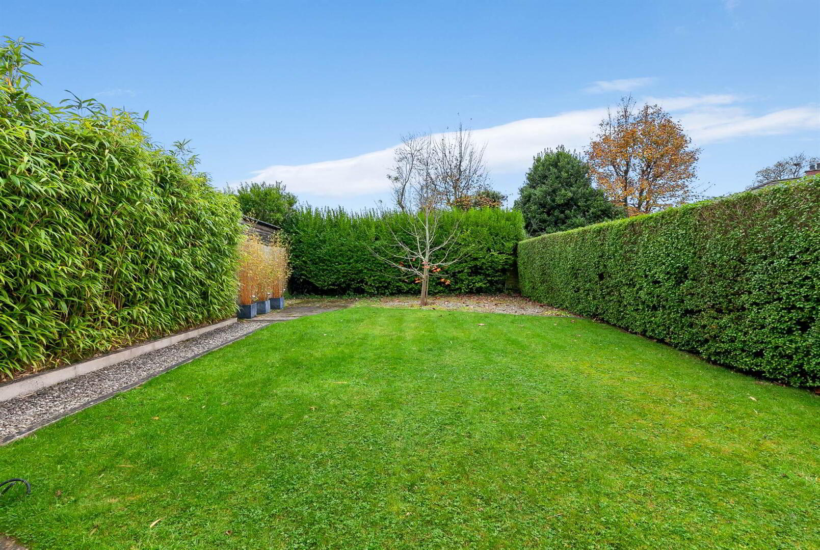 10 Thornhill Crescent 28 of 30